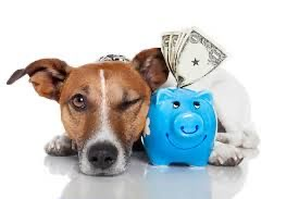 Calling All Dog And Cat Lovers! Help Us Spread The Word About Healthy Pet Products!