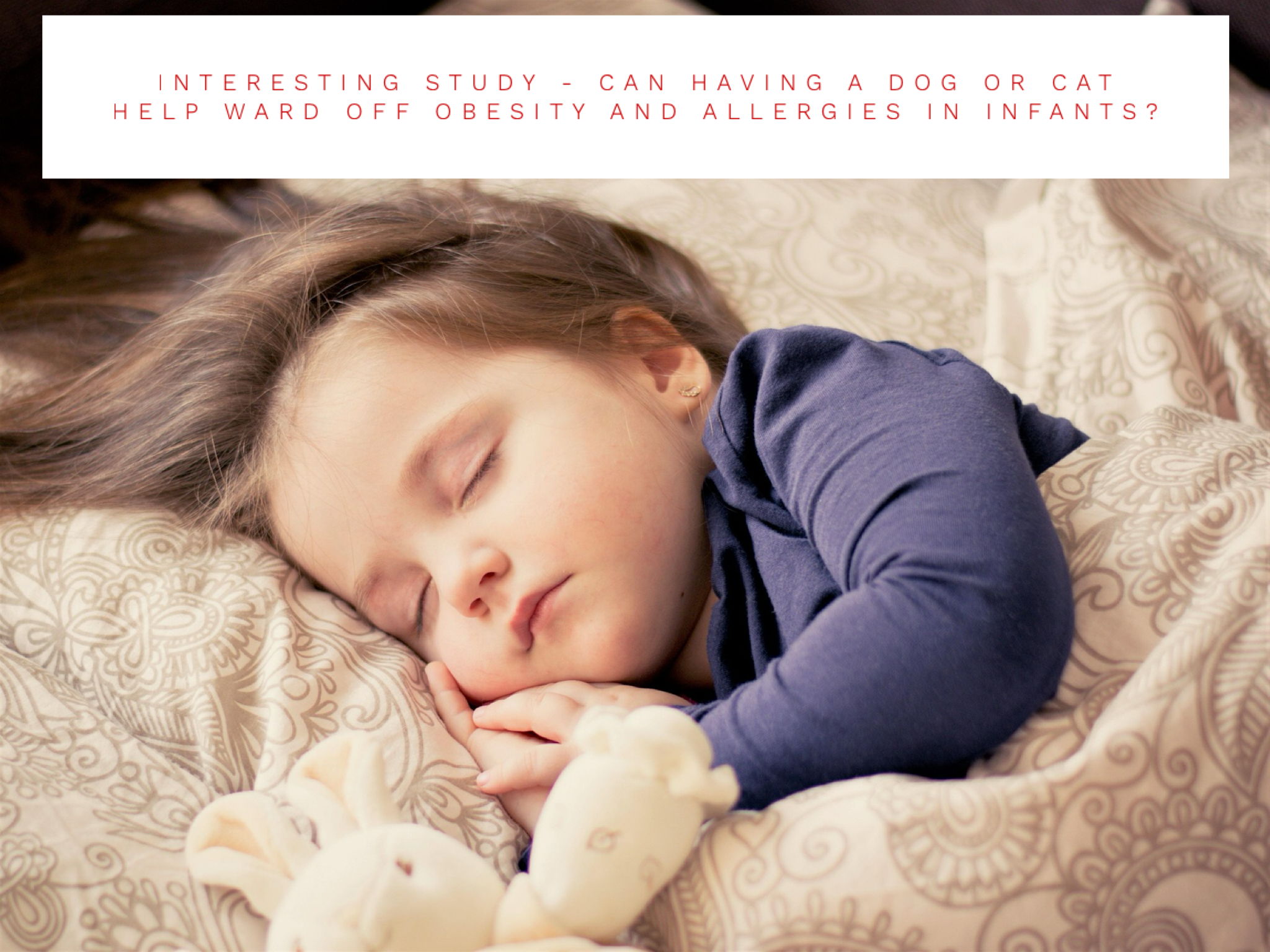 Interesting Study - Can Having A Dog Or Cat Help Ward Off Obesity And Allergies In Infants?