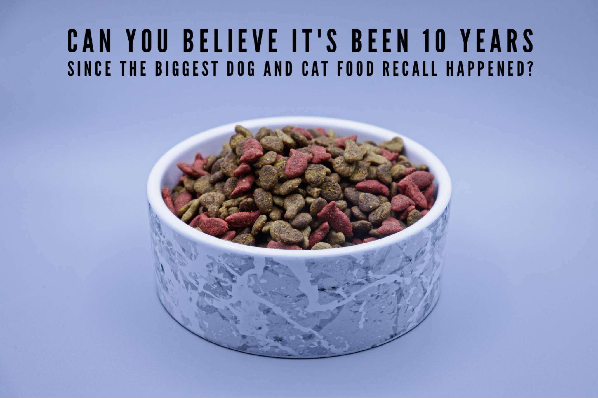 Can You Believe It's Been 10 Years Since The Biggest Dog And Cat Food Recall Happened?