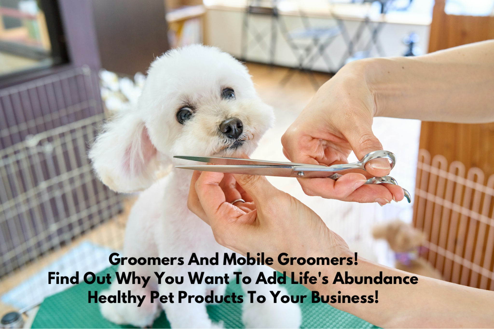 Groomers And Mobile Groomers! Find Out Why You Want To Add Life’s Abundance Healthy Pet Products To Your Business!