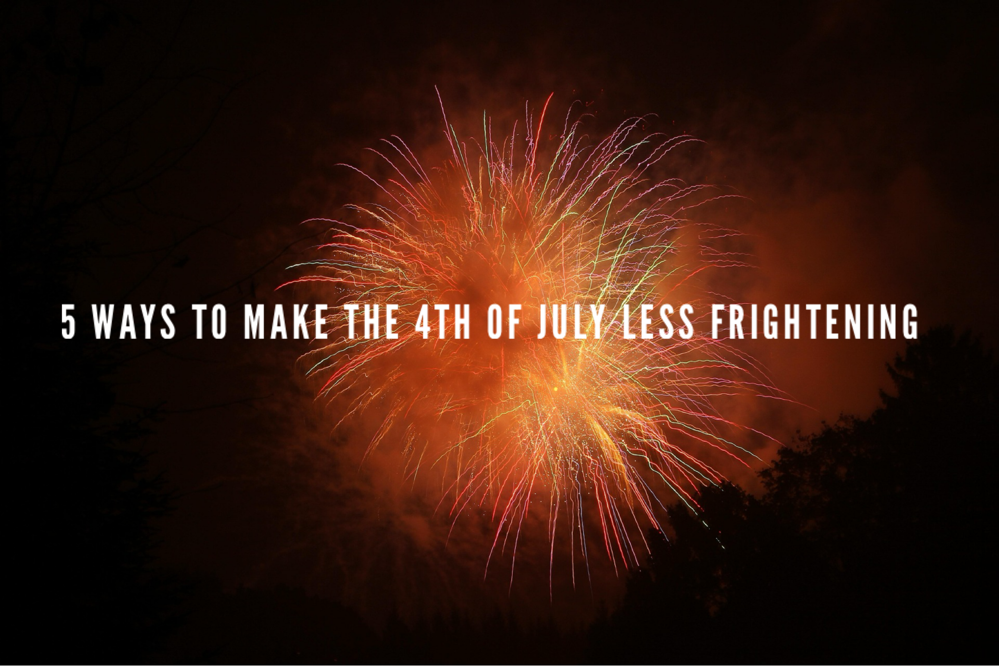 5 Ways To Make The 4th Of July Less Frightening