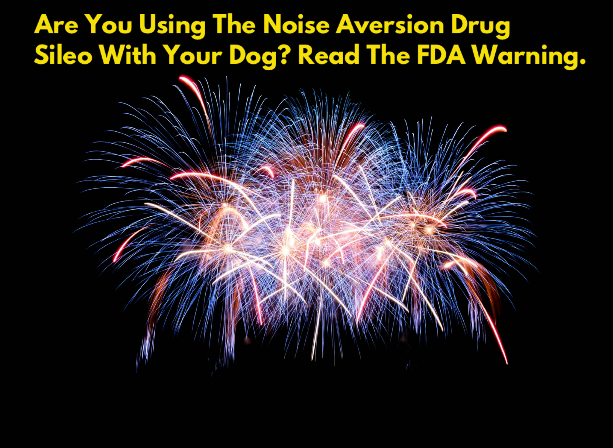 Are You Using The Noise Aversion Drug Sileo With Your Dog? Read The FDA Warning.