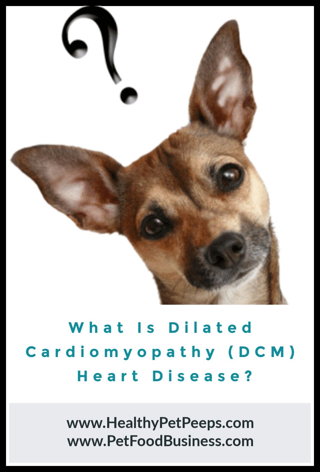 What Is Dilated Cardiomyopathy (DCM) Heart Disease?