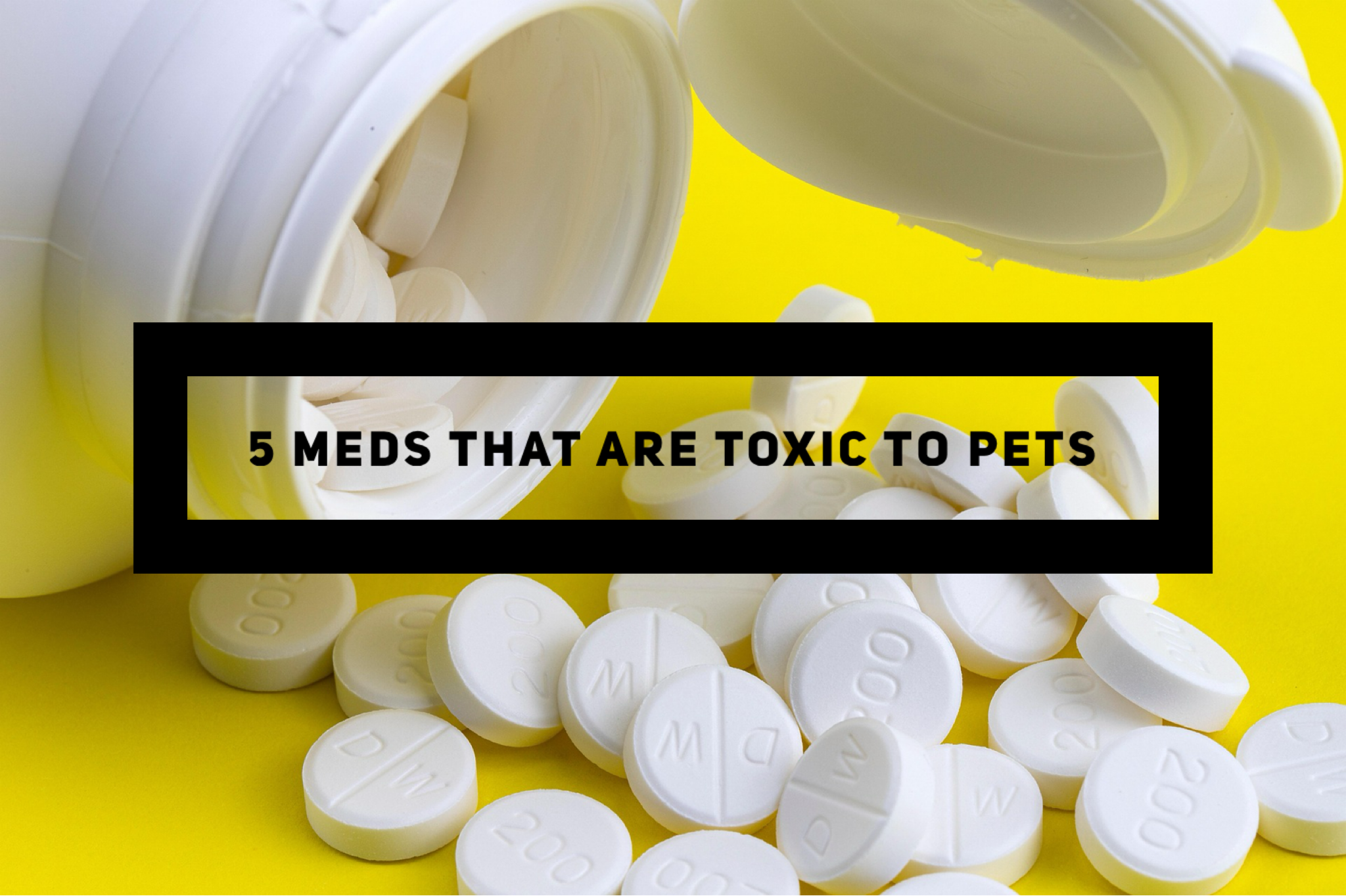 5 Meds That Are Toxic To Pets