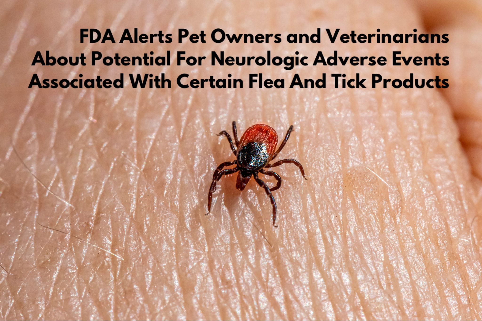FDA Alerts Pet Owners and Veterinarians About Potential For Neurologic Adverse Events Associated With Certain Flea And Tick Products