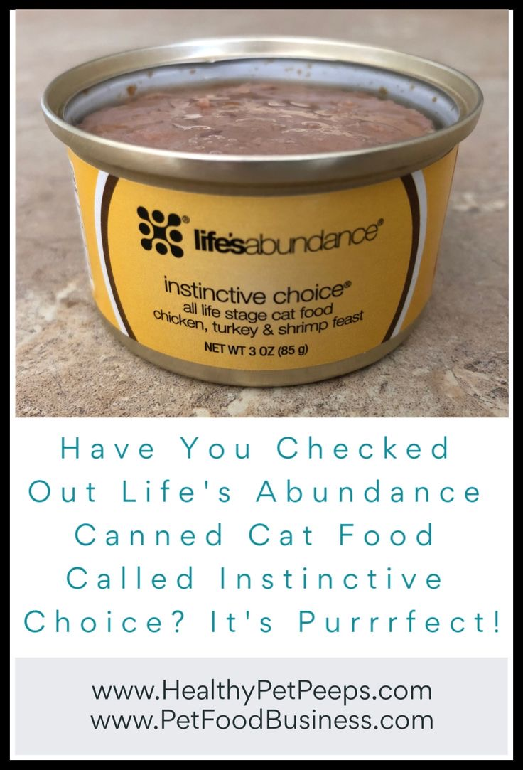 Have You Checked Out Life’s Abundance Canned Cat Food Called Instinctive Choice? It’s Purrrfect!