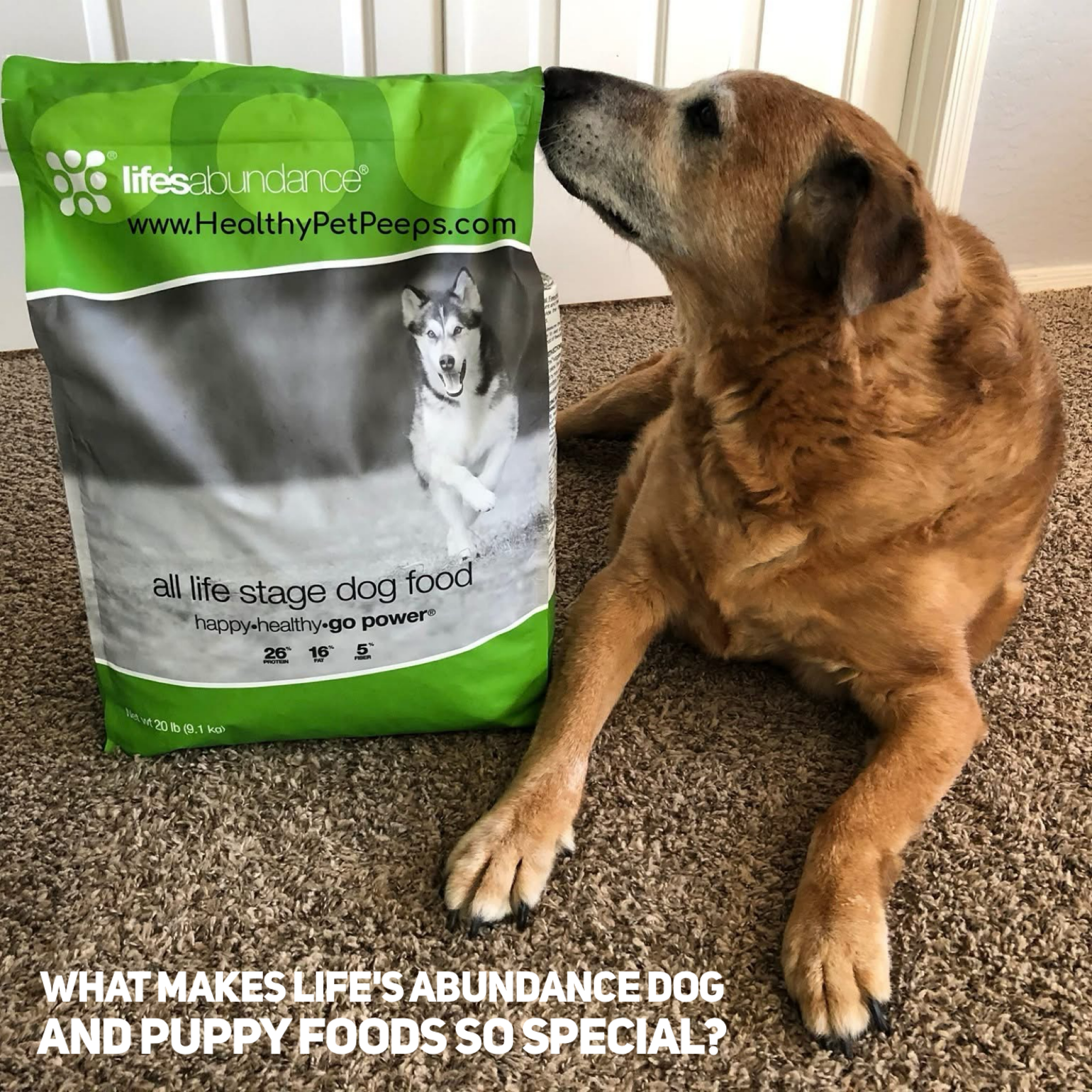 What Makes Life’s Abundance Dog And Puppy Foods So Special?