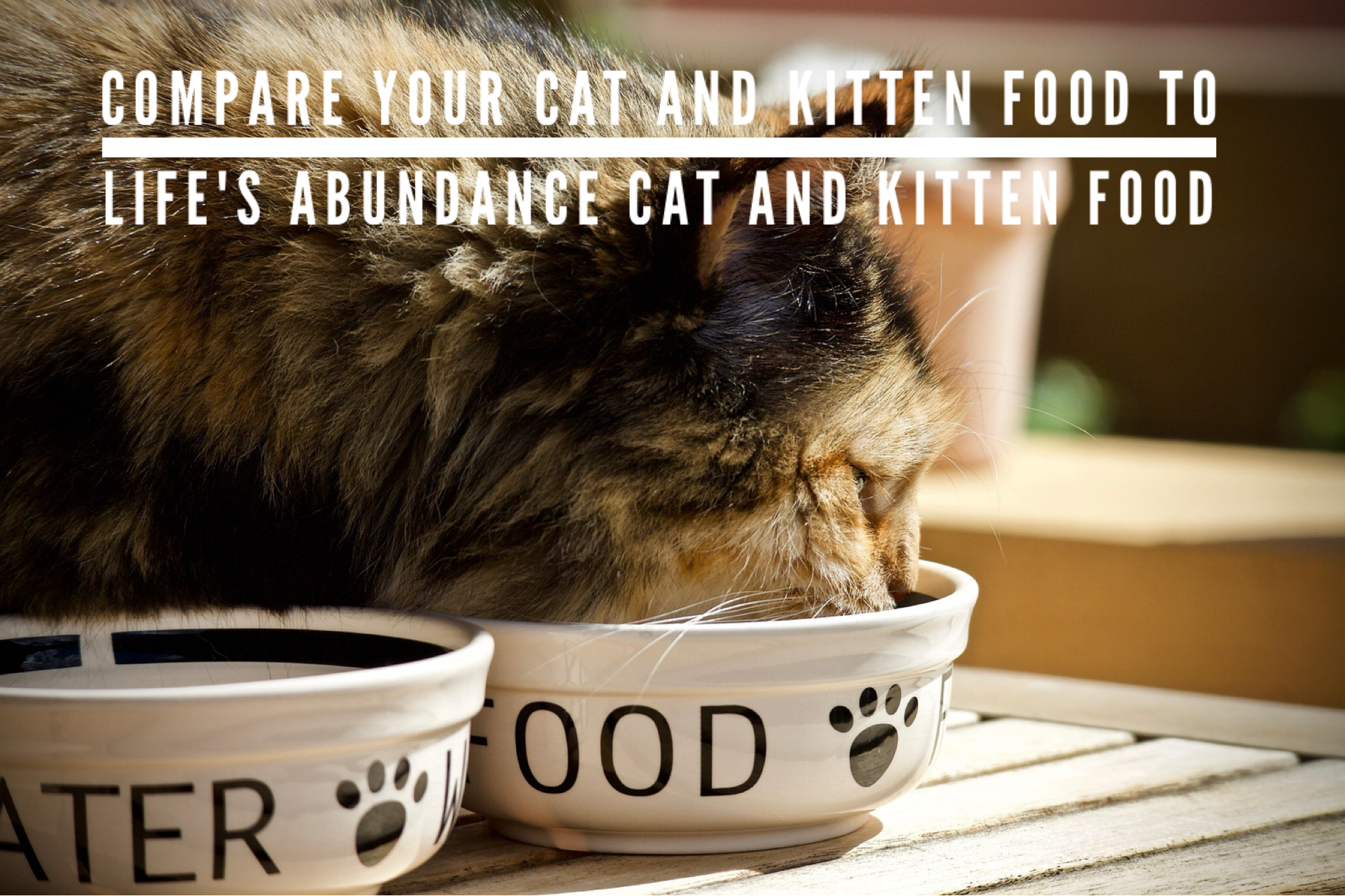 Compare Your Cat And Kitten Food To Life’s Abundance Cat And Kitten Food