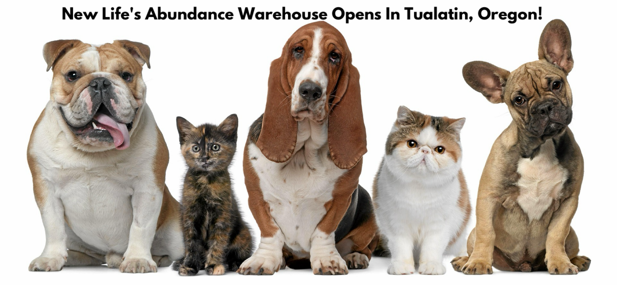New Life’s Abundance Warehouse Opens In Tualatin, Oregon! Now You Can Pick Up Your Orders.
