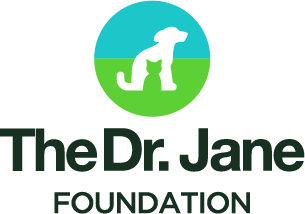 Life’s Abundance Non-Profit Arm, The Dr. Jane Foundation Donated To 20 Dog And Cat Organizations In 2018