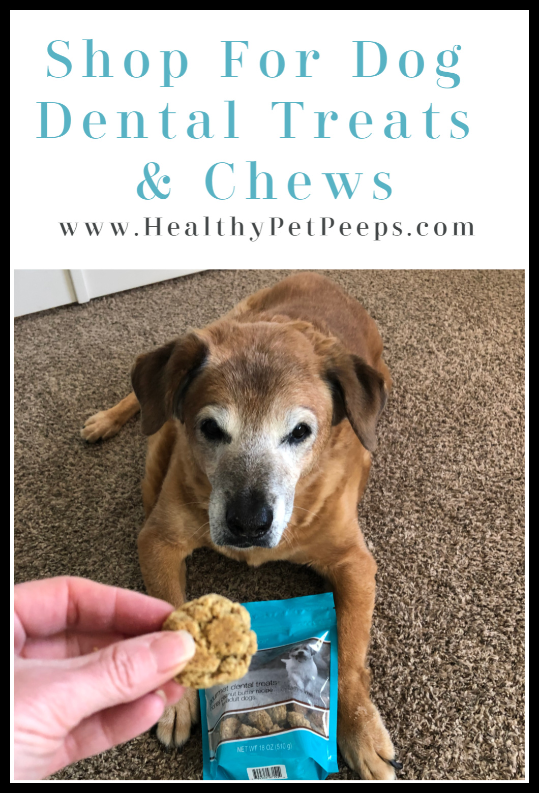 February Is National Dental Health Month! We’re Taking It To The Dogs With These Toothy Specials!
